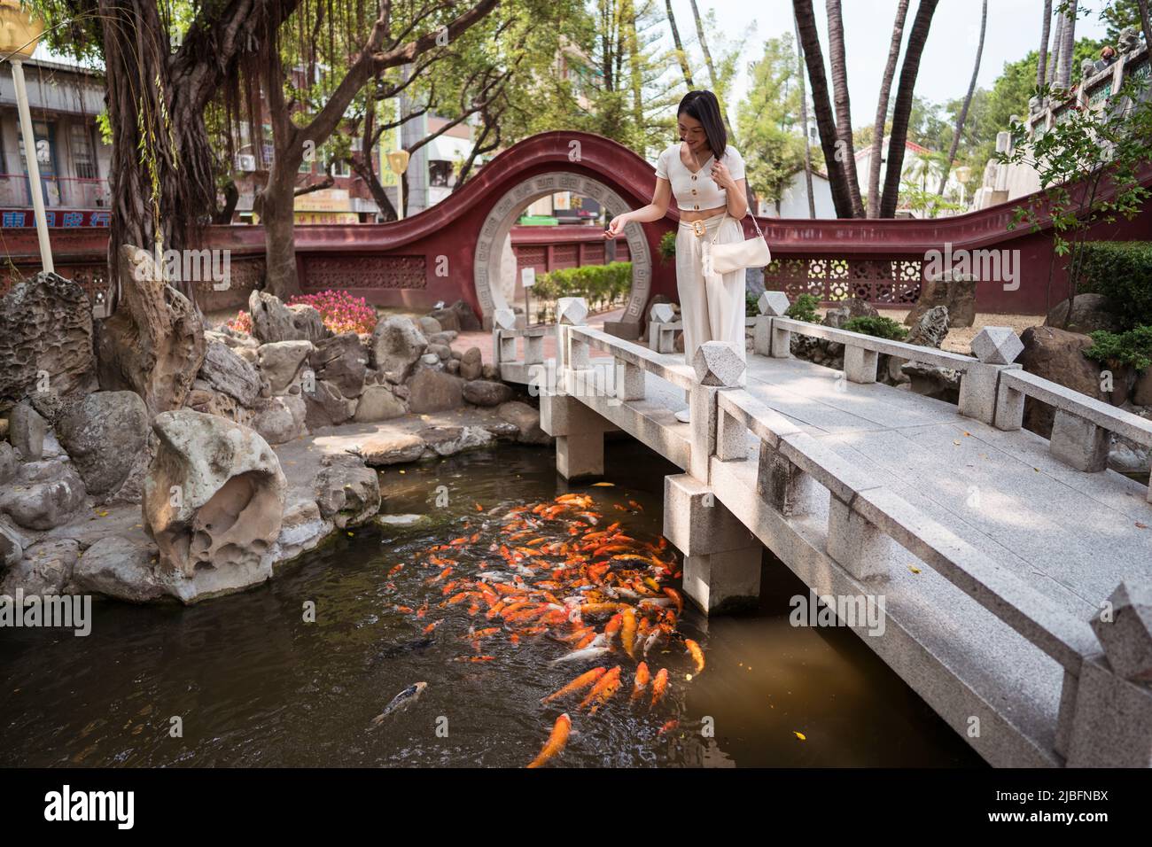 Pond full of goldfish hi-res stock photography and images - Alamy
