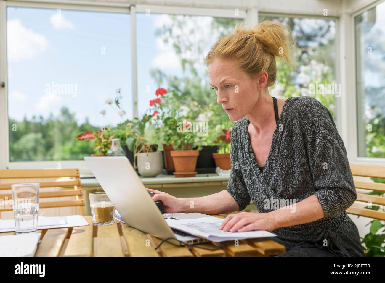 woman-working-from-home-in-sunroom-stock-photo-alamy