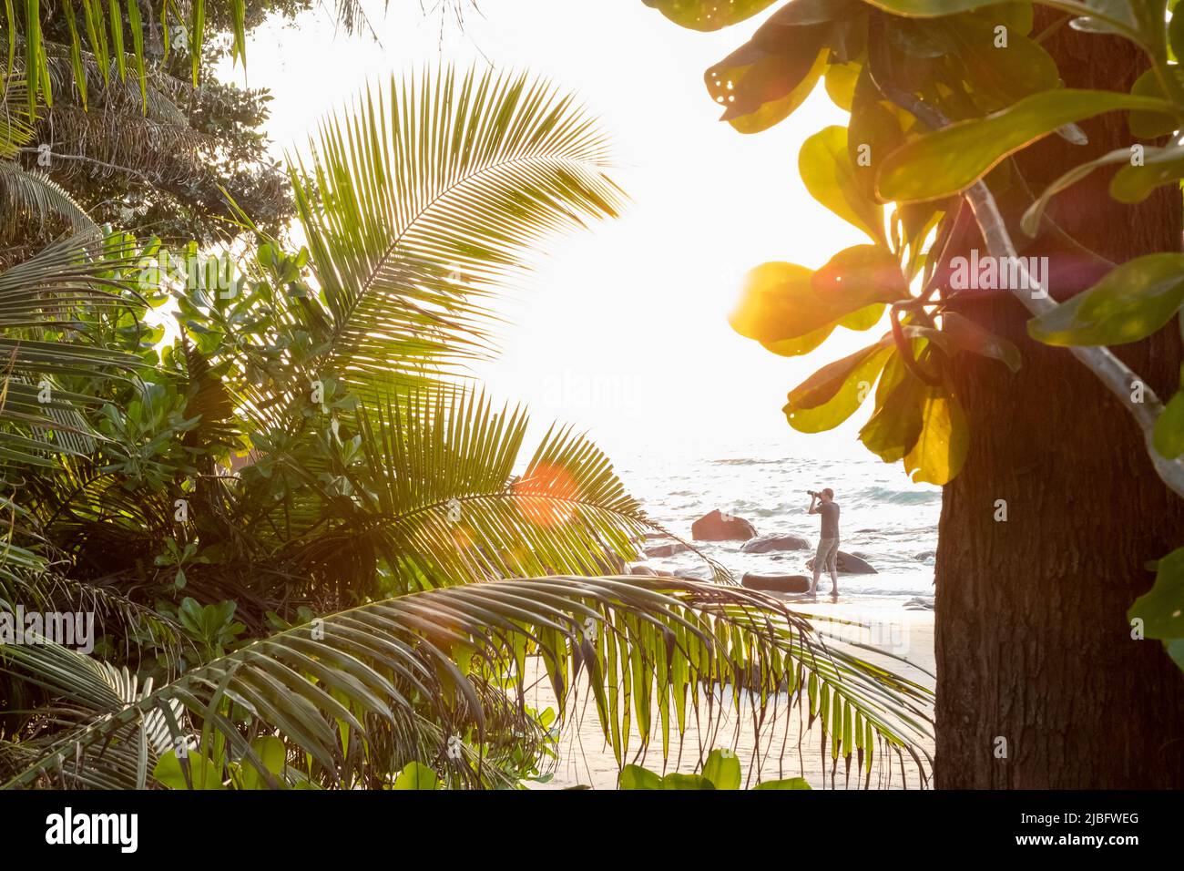 Palm tree and man with camera on beach at sunset Stock Photo