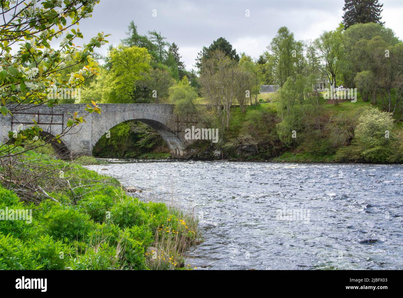 River Spey, Stock Photo