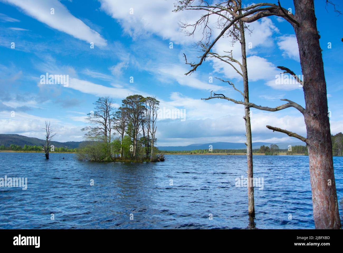 Loch Mallachie Stock Photo