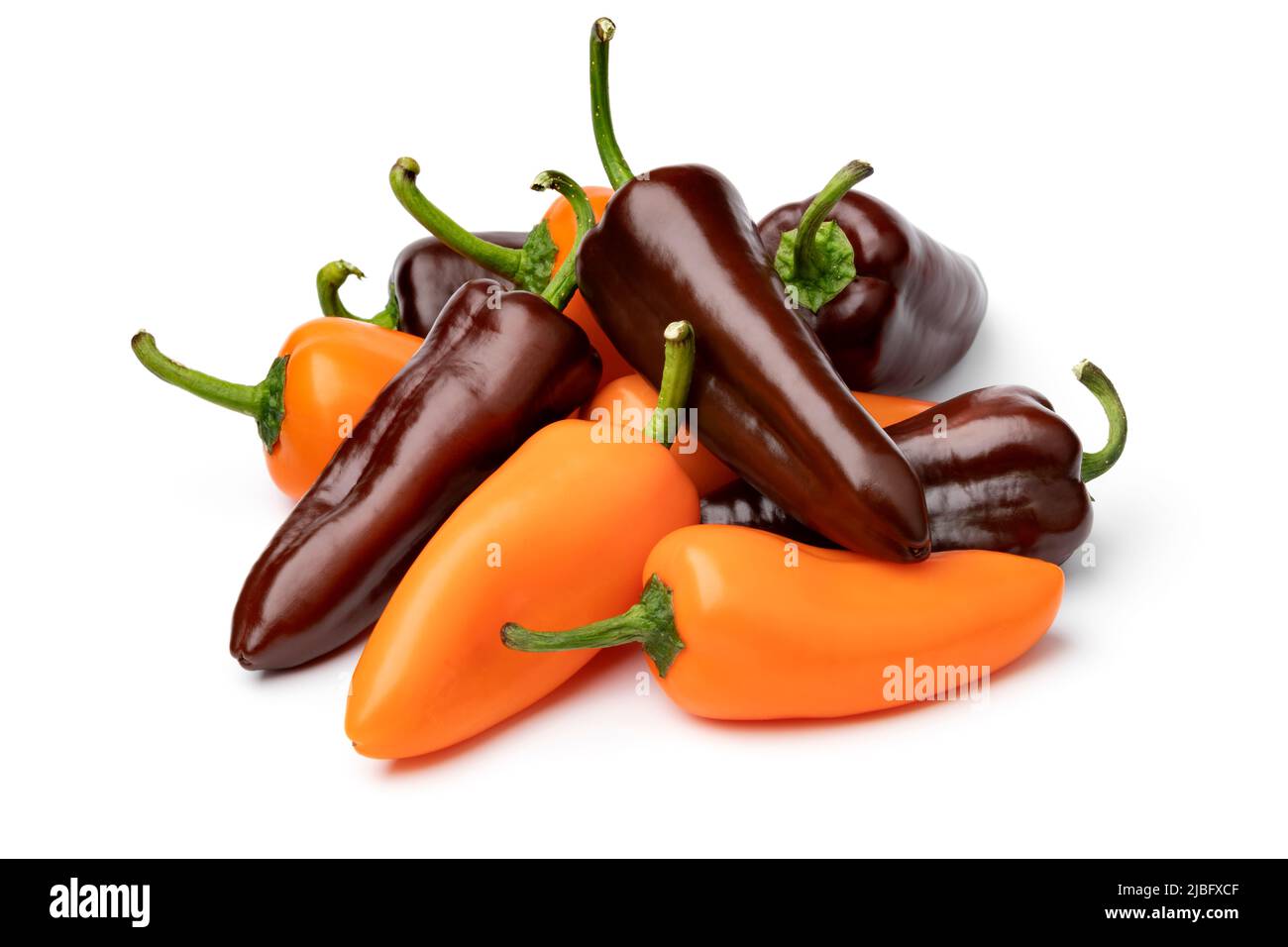Heap of whole fresh orange and chocolate mini pointed bell peppers close up isolated on white background Stock Photo