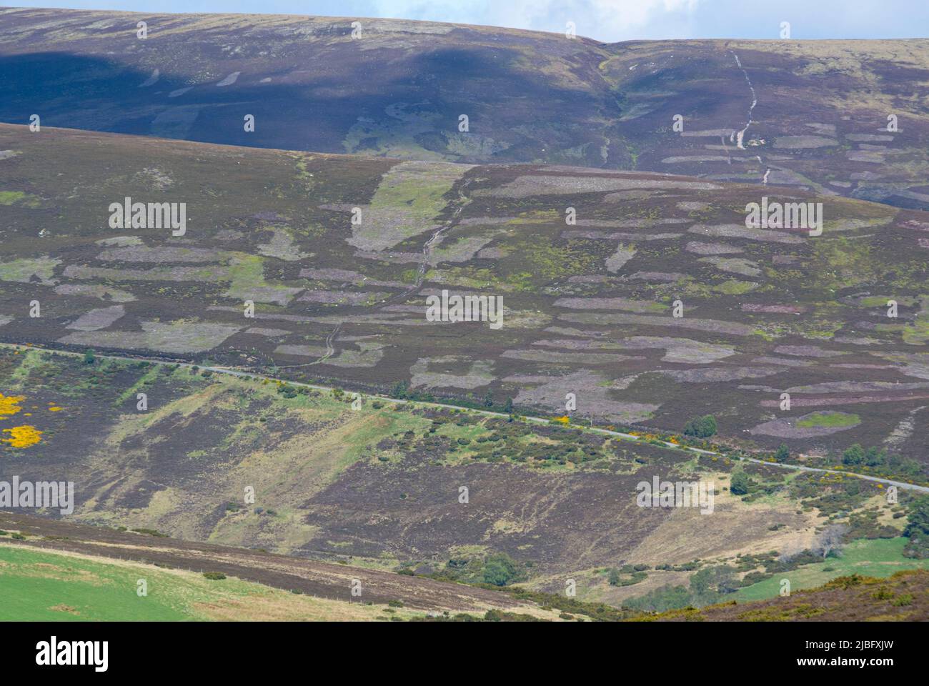 Scottish Moorland showing heather management Stock Photo