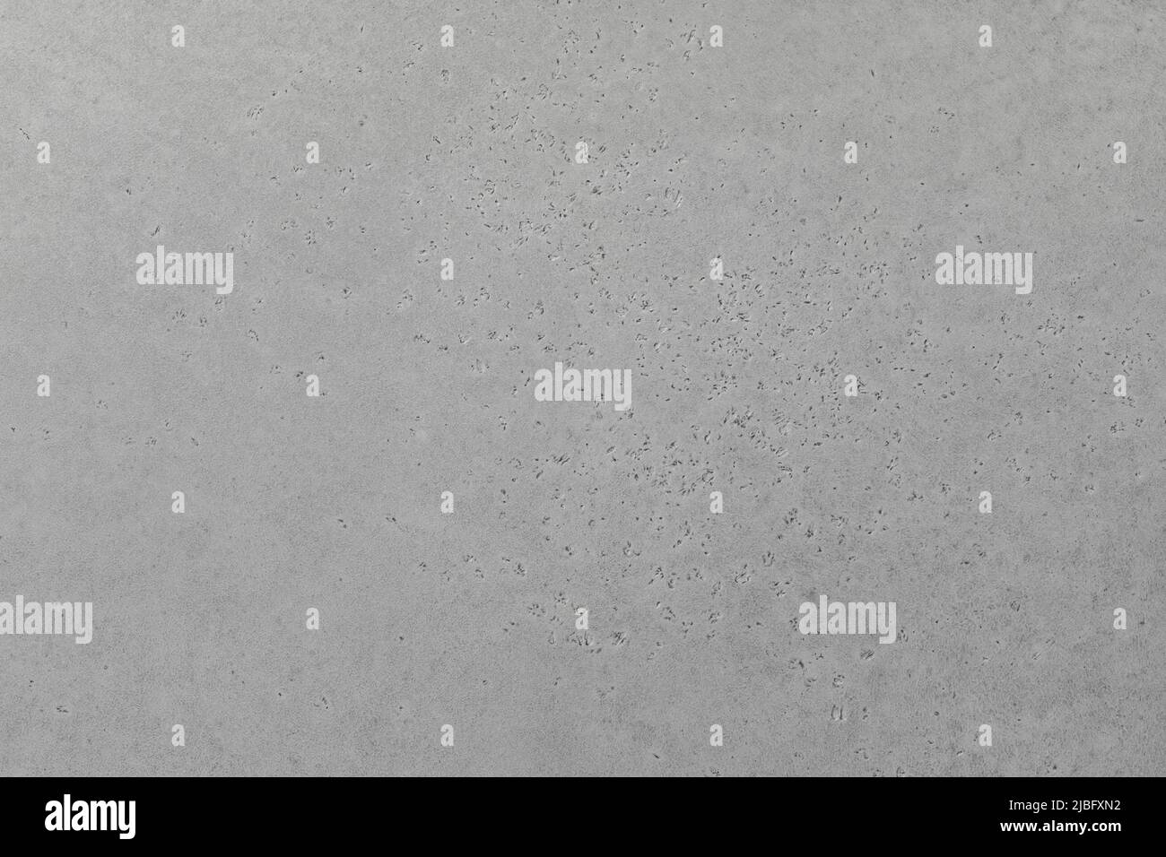 Gray texture background. Abstract concrete floor wall seamless pattern. Stock Photo