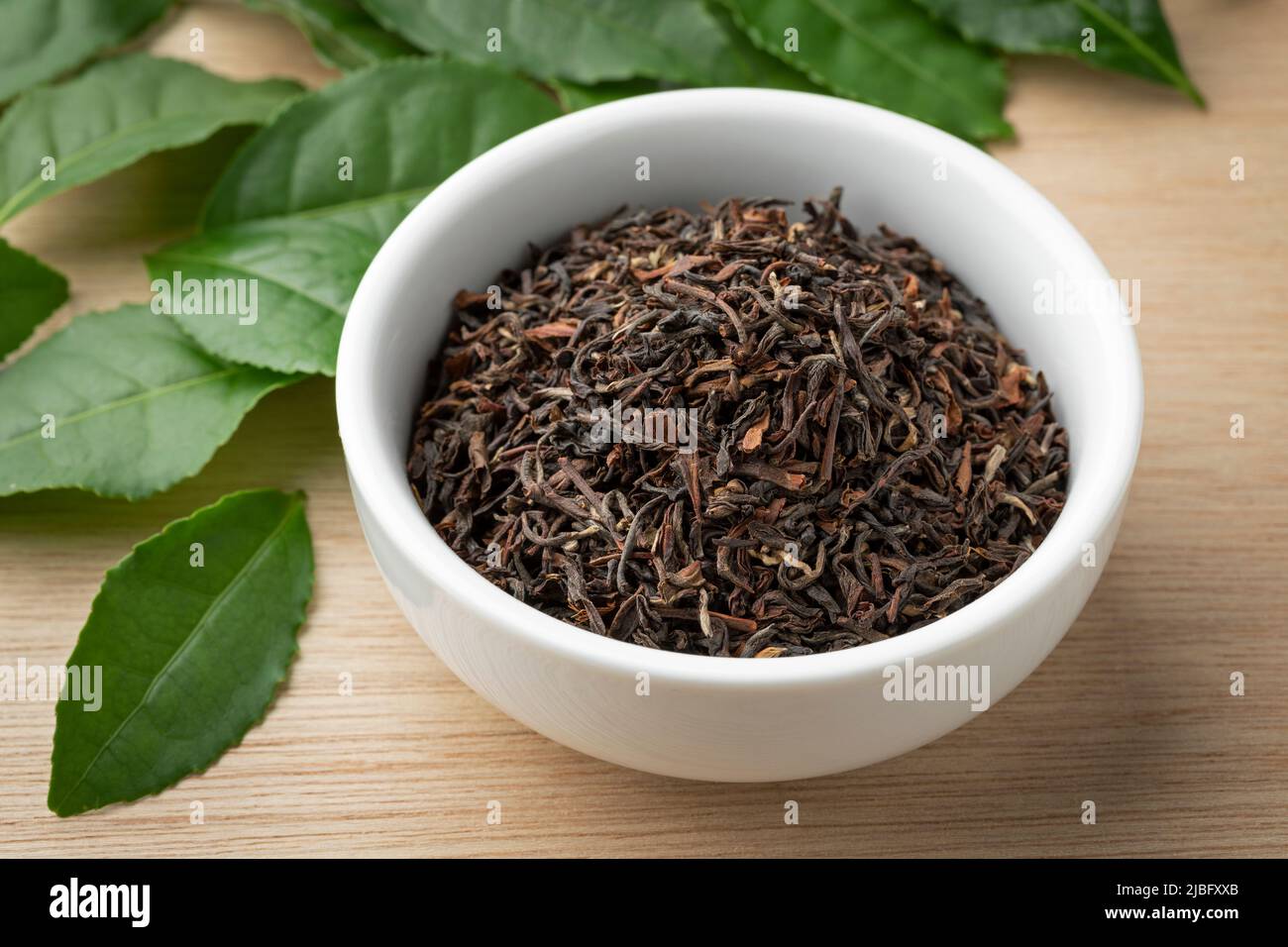 Bowl with dried Indian Ambootia Darjeeling tea close up and fresh tea leaves in the background Stock Photo