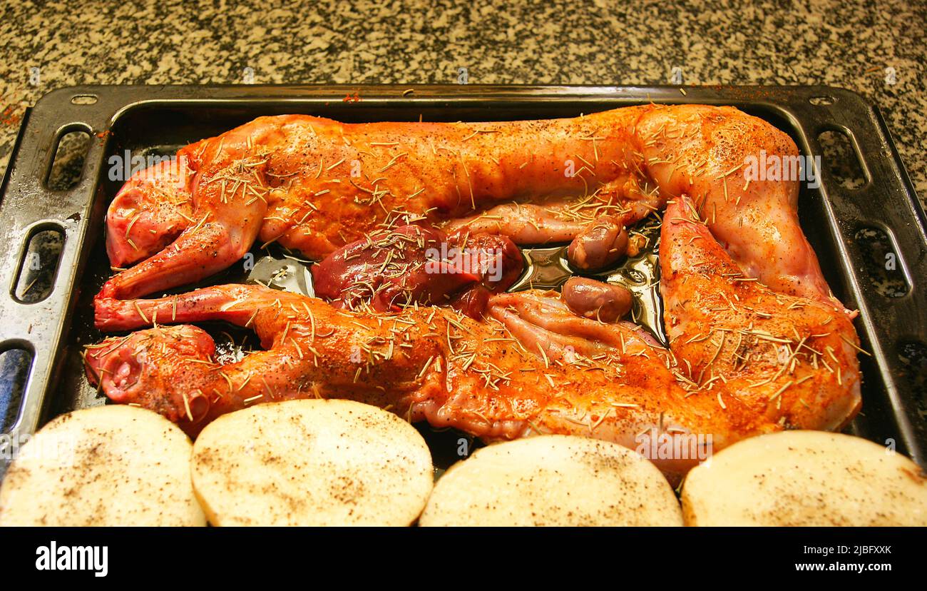 Toasting A Rabbit Rabbits roasting hi-res stock photography and images - Alamy