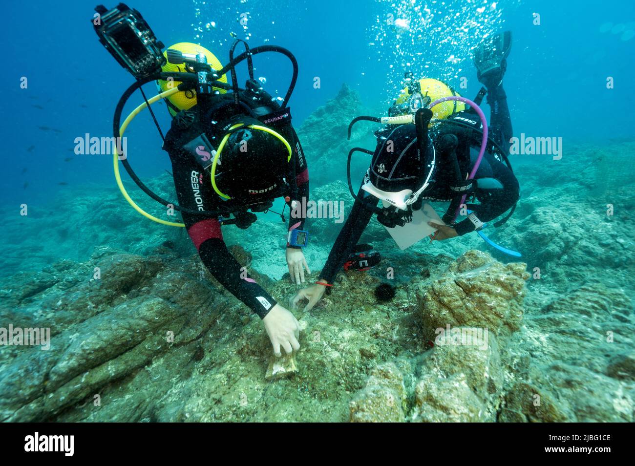 Marine biologists examining the cage experiment for macro algae restoration in Gokova Bay, Turkey. Stock Photo
