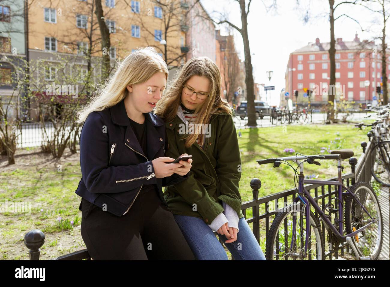 Young women using smart phone in park in Stockholm, Sweden Stock Photo