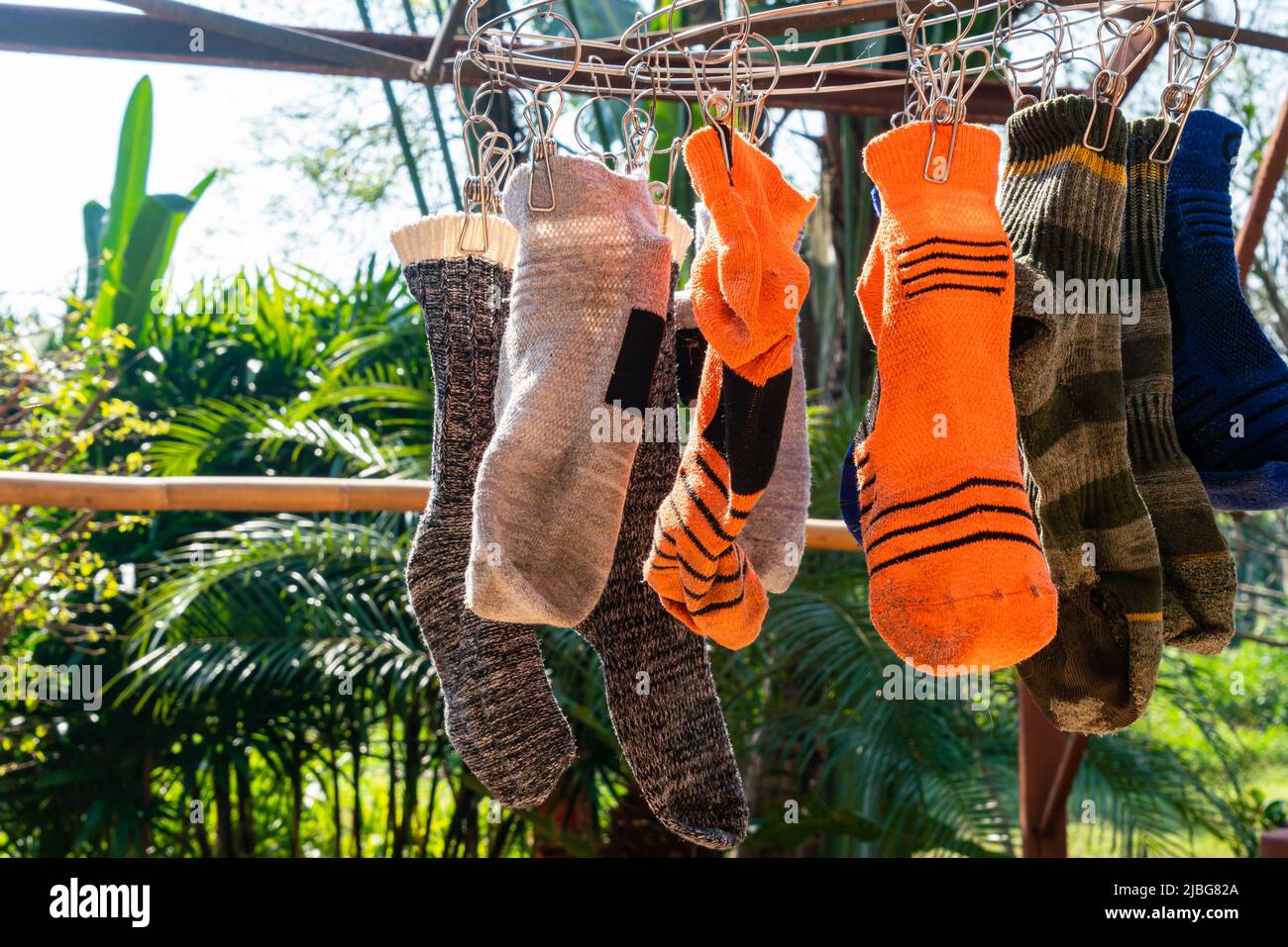 Washing the used socks and drying on the clothesline. After washing the used socks are hanging by clothespins on the clothesline for drying. Stock Photo