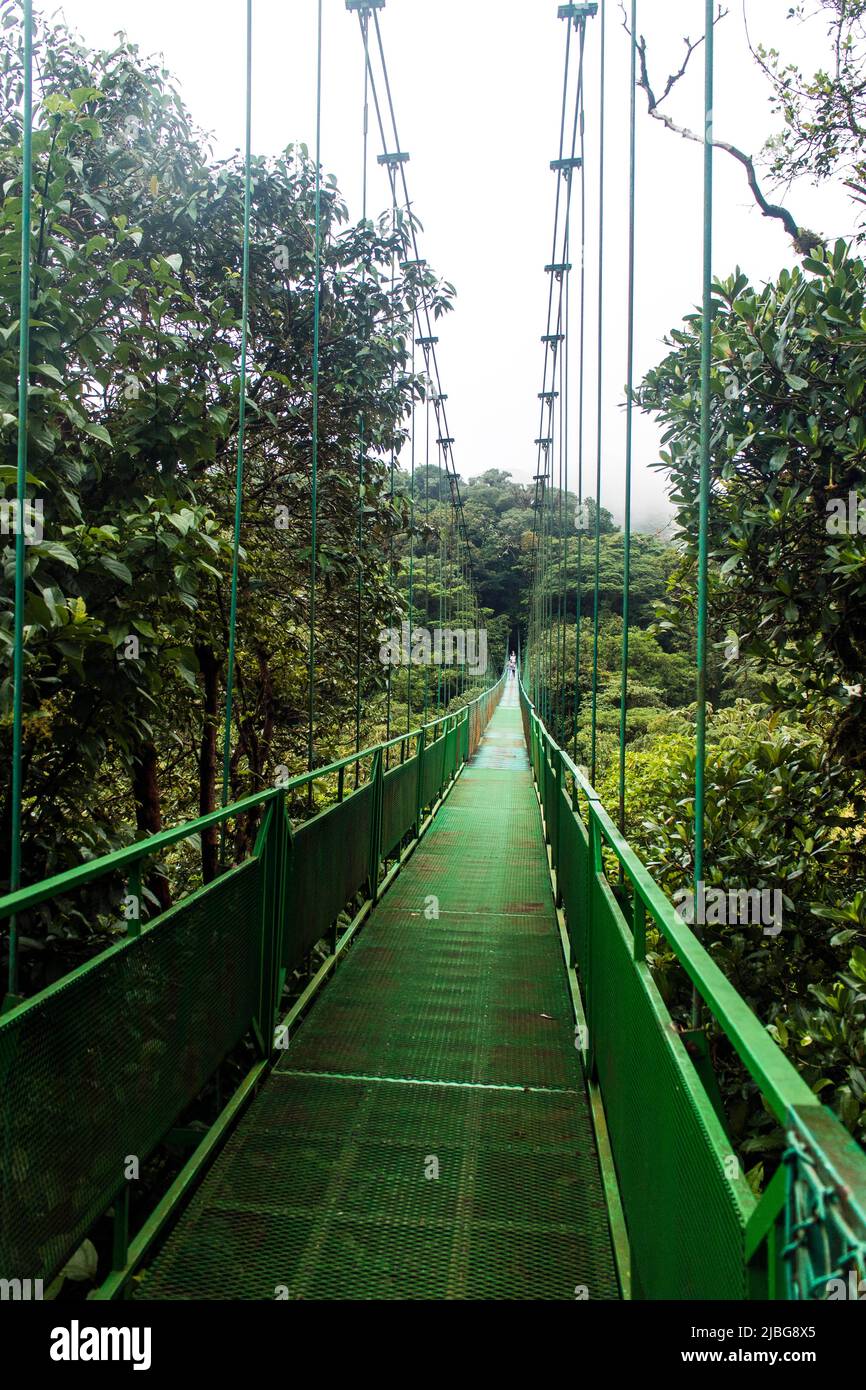 Costa Rica, Central America - Monteverde Cloud Forest Reserve -  Hanging bridge    Photo © Federico Meneghetti/Sintesi/Alamy Stock Photo Stock Photo