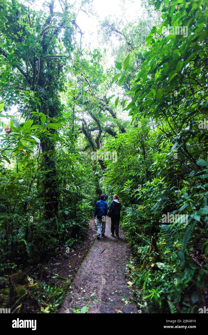 Costa Rica, Central America - Monteverde Cloud Forest Reserve    Photo © Federico Meneghetti/Sintesi/Alamy Stock Photo Stock Photo