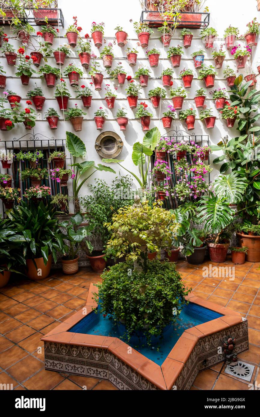 The Courtyards Festival of Córdoba. Many houses of the historic center open their private patios to the public and compete in a contest. Stock Photo