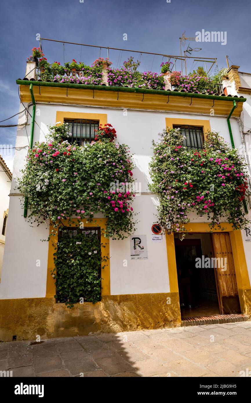 The Courtyards Festival of Córdoba. Many houses of the historic center open their private patios to the public and compete in a contest. Stock Photo