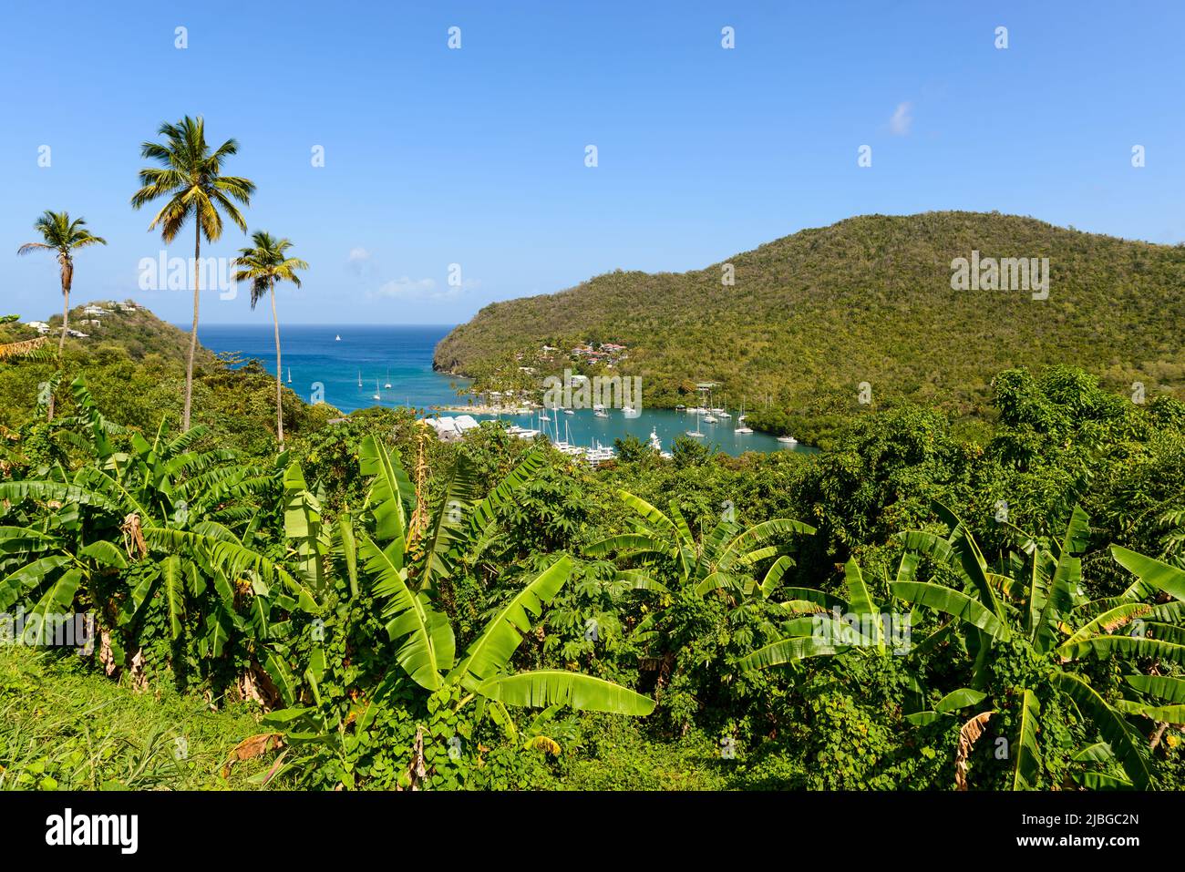 Marigot Bay auf St. Lucia umgeben von Palmen Stock Photo