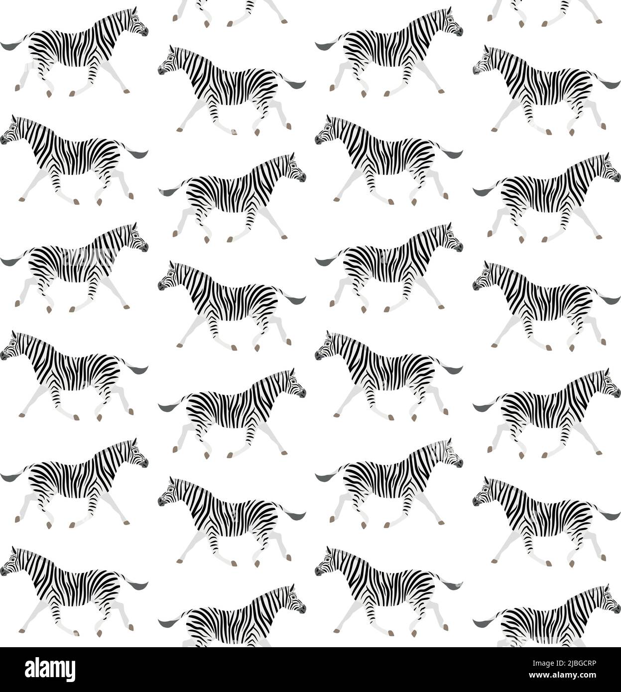 Vector seamless pattern of flat zebra isolated on white background ...