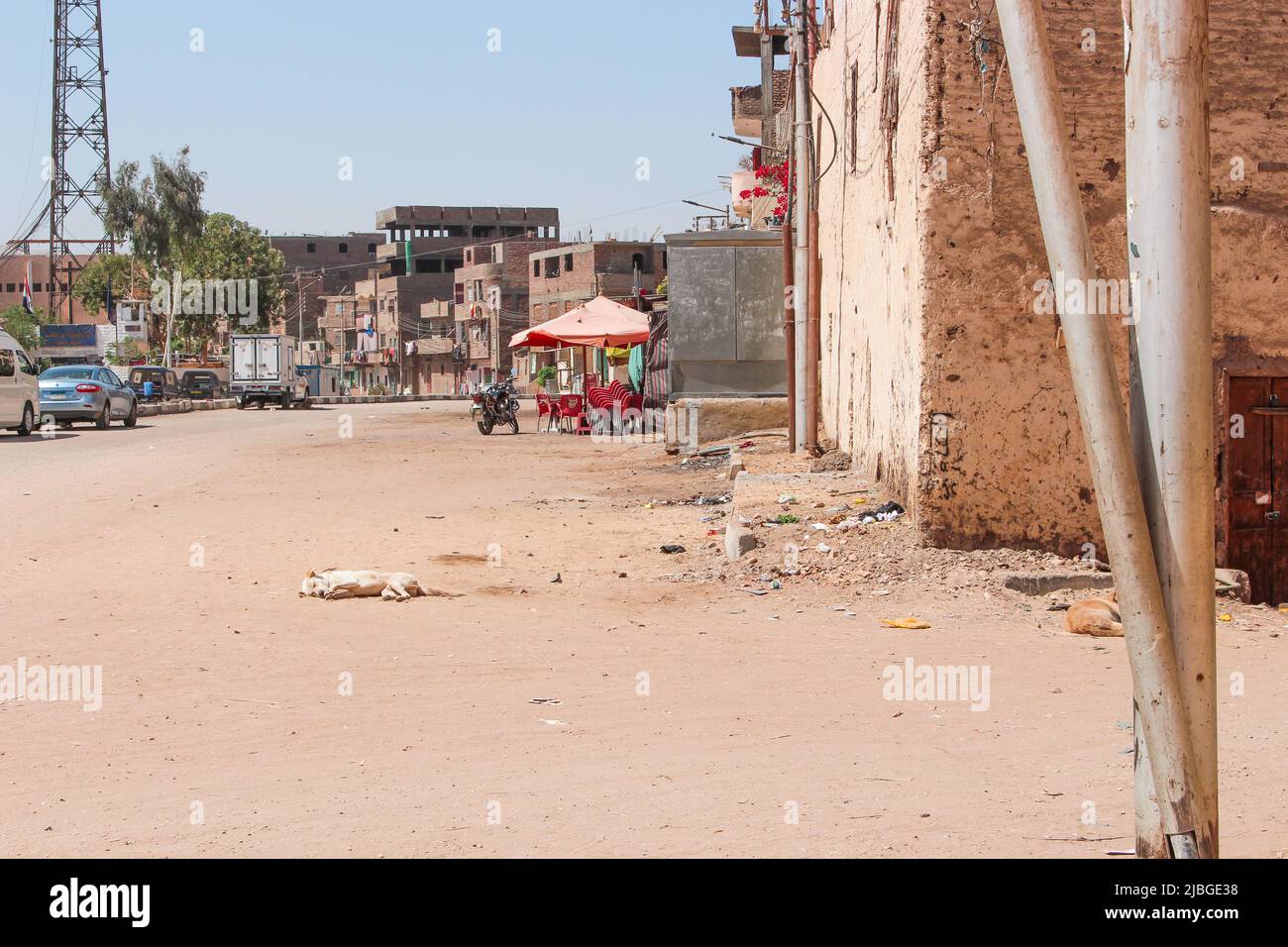 Downtown in Luxor, Egypt. Image of the dog who is relaxed and sleeping deeply in the middle of street. Stock Photo