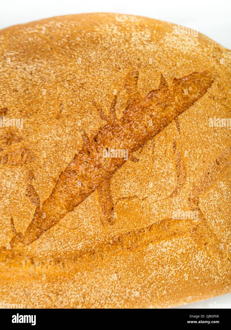 organic bread bun on white background Stock Photo - Alamy