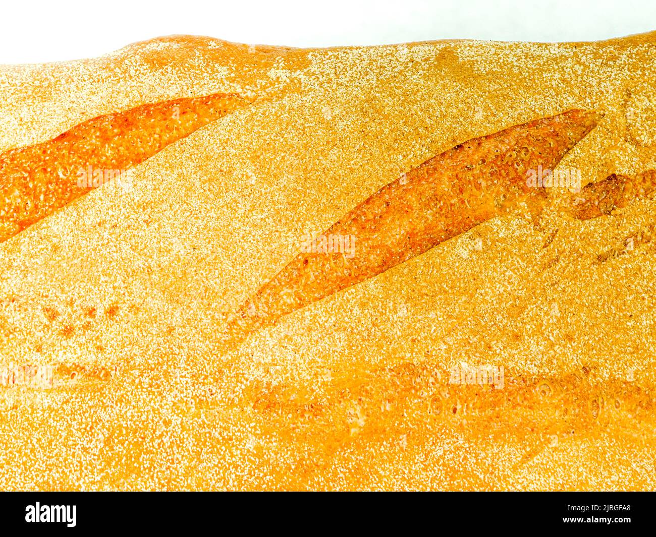 organic bread bun on white background Stock Photo - Alamy