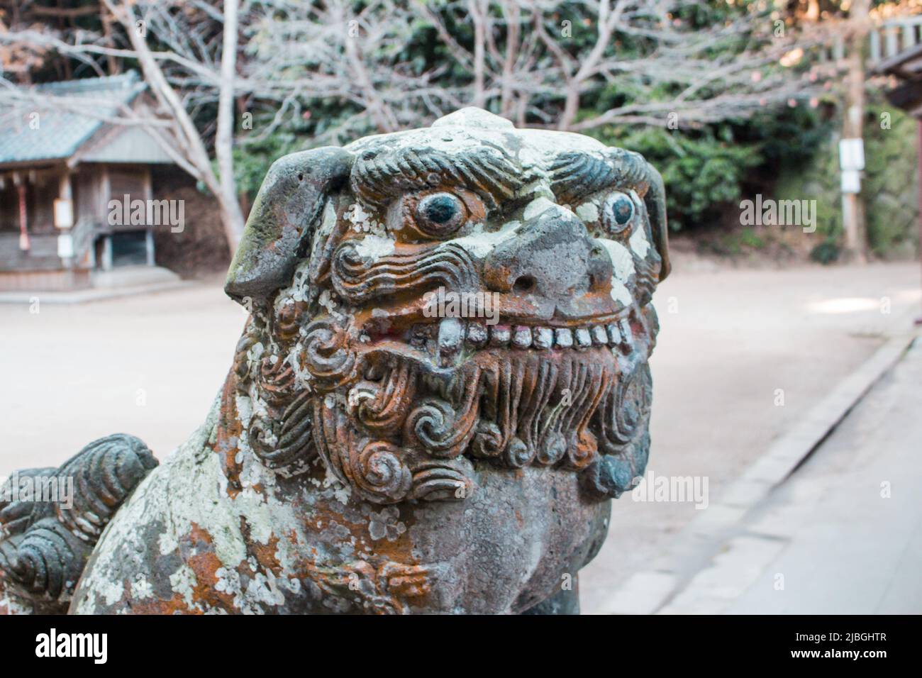 The image of old Komainu (lion-shaped guardian dog) statue with moss in old shrine, Japan. Stock Photo