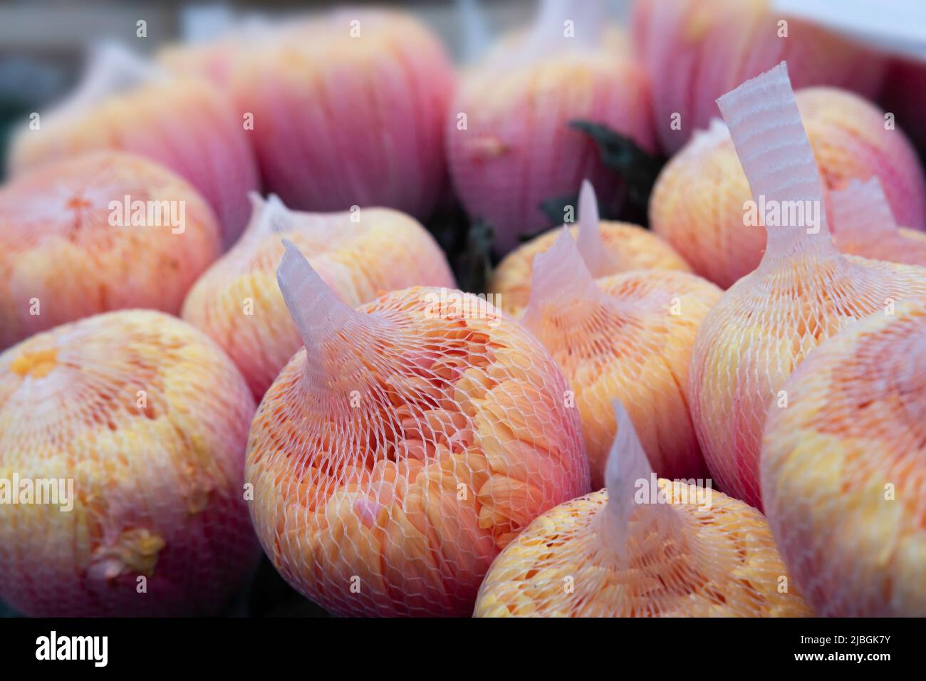 A biodegradable net around Chrysanthemum flowers to fight against