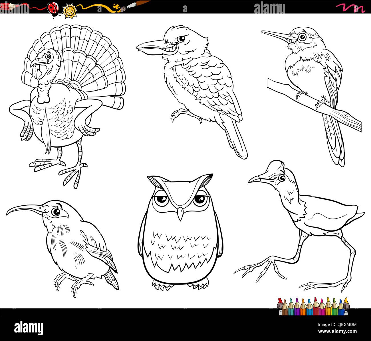 Black and white cartoon illustration of comic birds animal species characters set coloring page Stock Vector