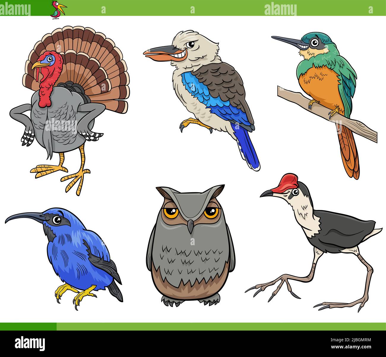 Cartoon illustration of comic birds animal species characters set Stock Vector