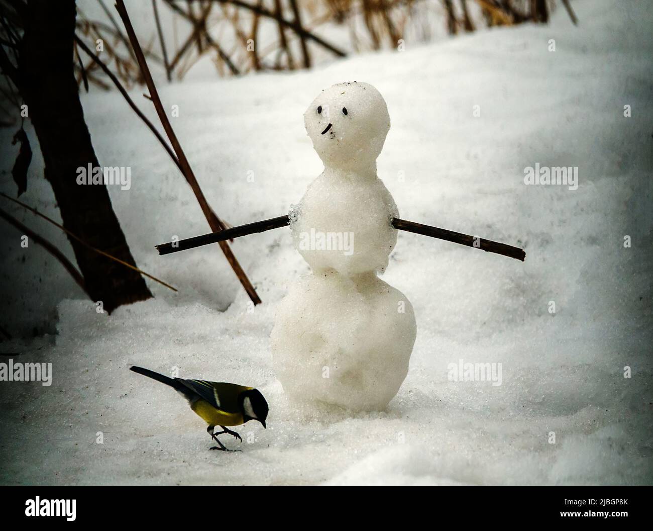 Spring story about the end of friendship of snowman and a ...