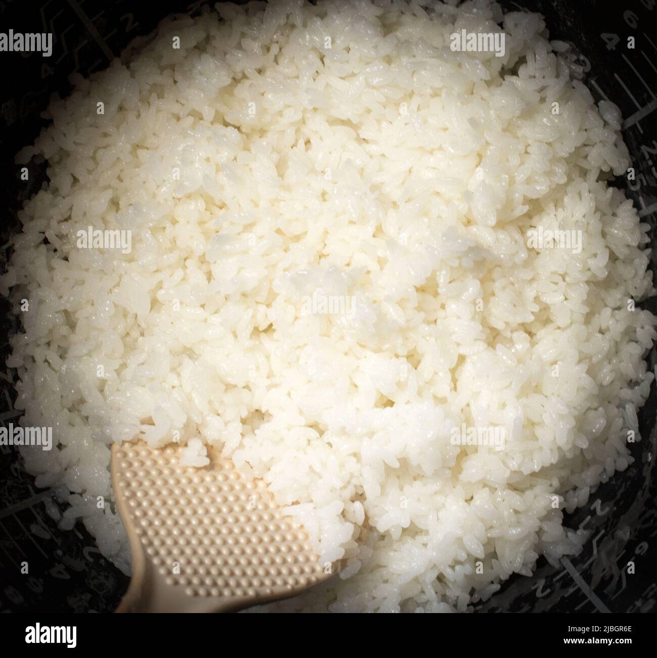 Japanese steamed rice in rice cooker Stock Photo Alamy