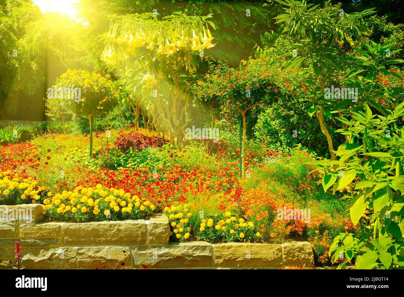 Bright flower bed with multi-colored flowers illuminated by the sun. Stock Photo