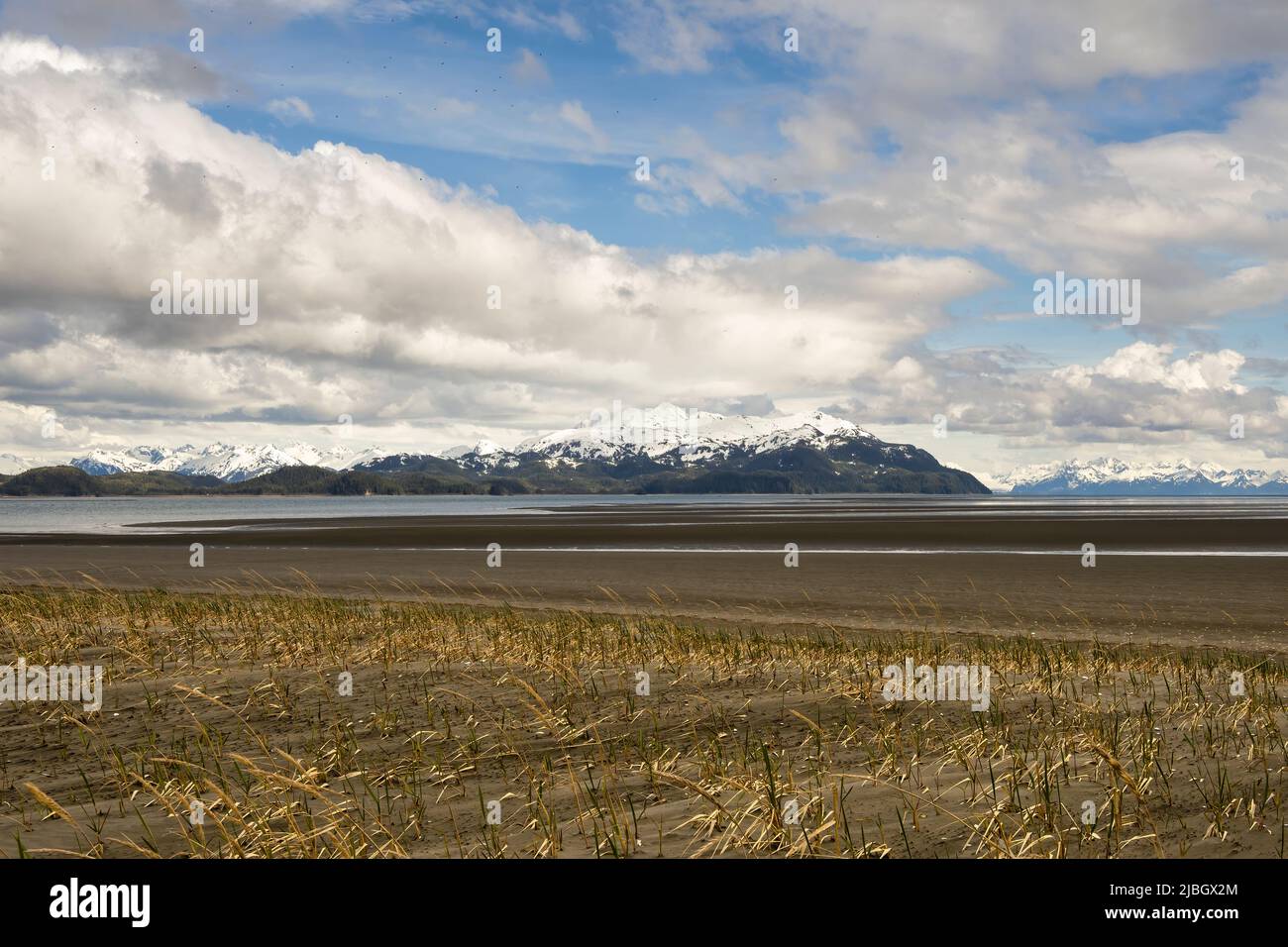 Scenic view of Chugach Mountains and Orca Inlet from Little Egg Island in the Copper River Delta of Alaska. Stock Photo