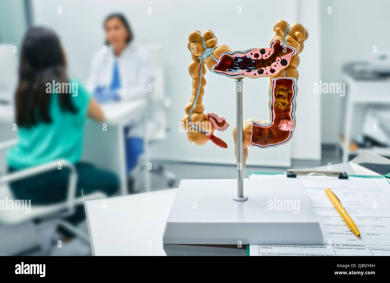 Gastroenterology consultation. Anatomical intestines model on doctor table over background gastroenterologist consulting female patient at medical cli Stock Photo