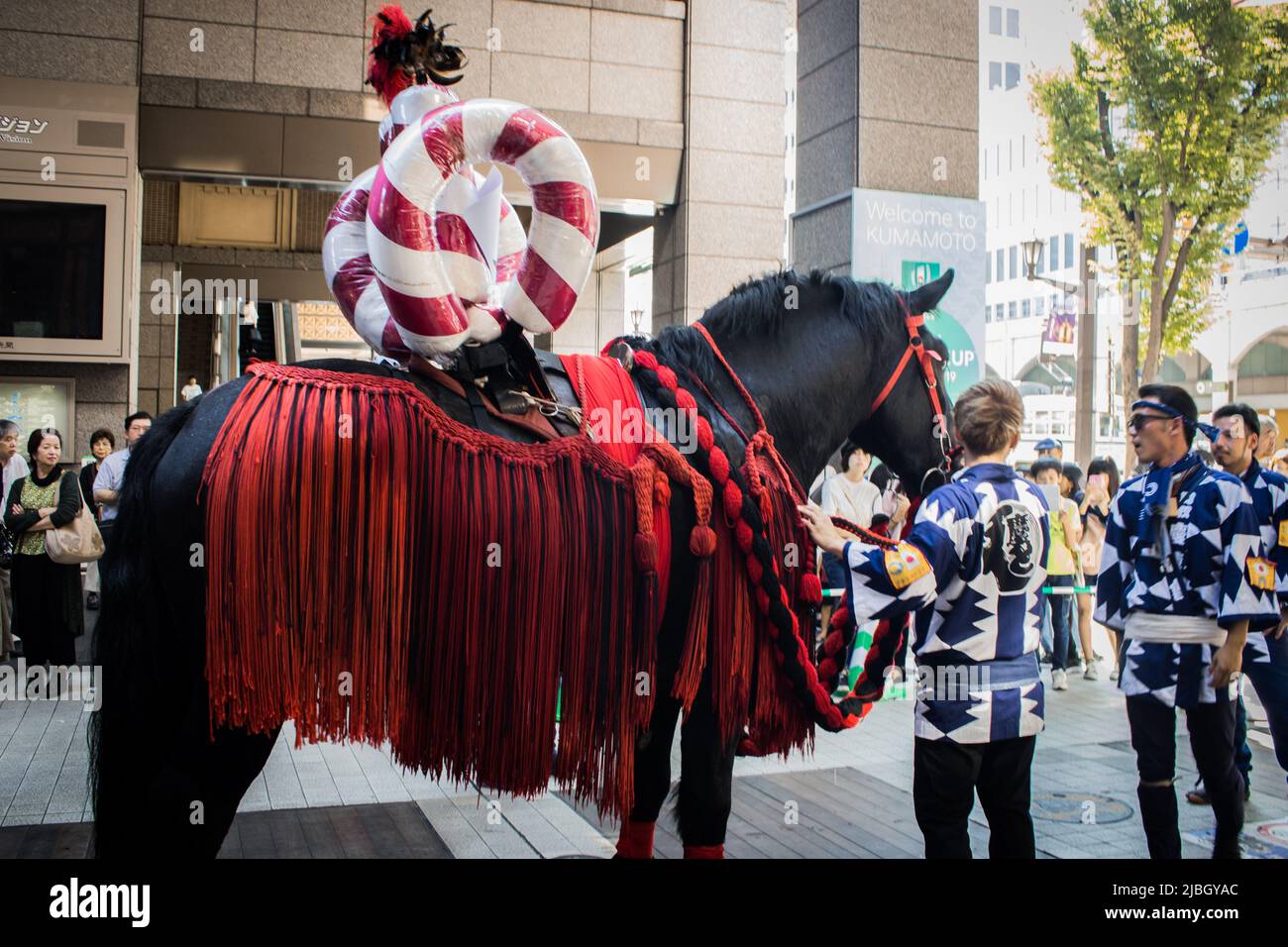 Kumamoto, Japan - Sep. 16, 2019: Decorated horse at Fujisaki Hachimangu Autumn Festival with parade followers in traditional Kimono uniform Stock Photo