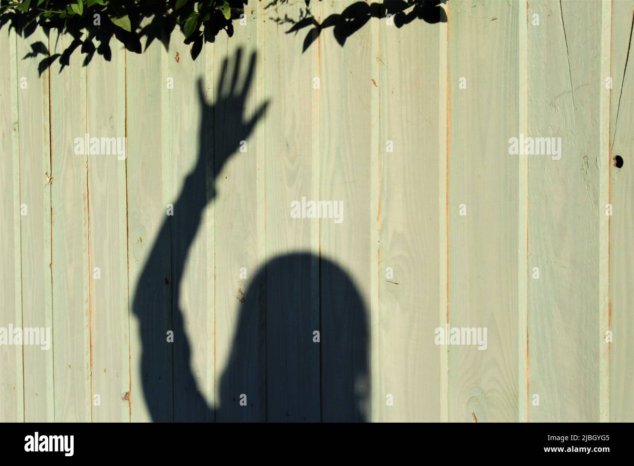 Shadow of a person raising their hand outside with copy space. Concept for asking a question, protest, raising a hand, reaching out, standing up Stock Photo