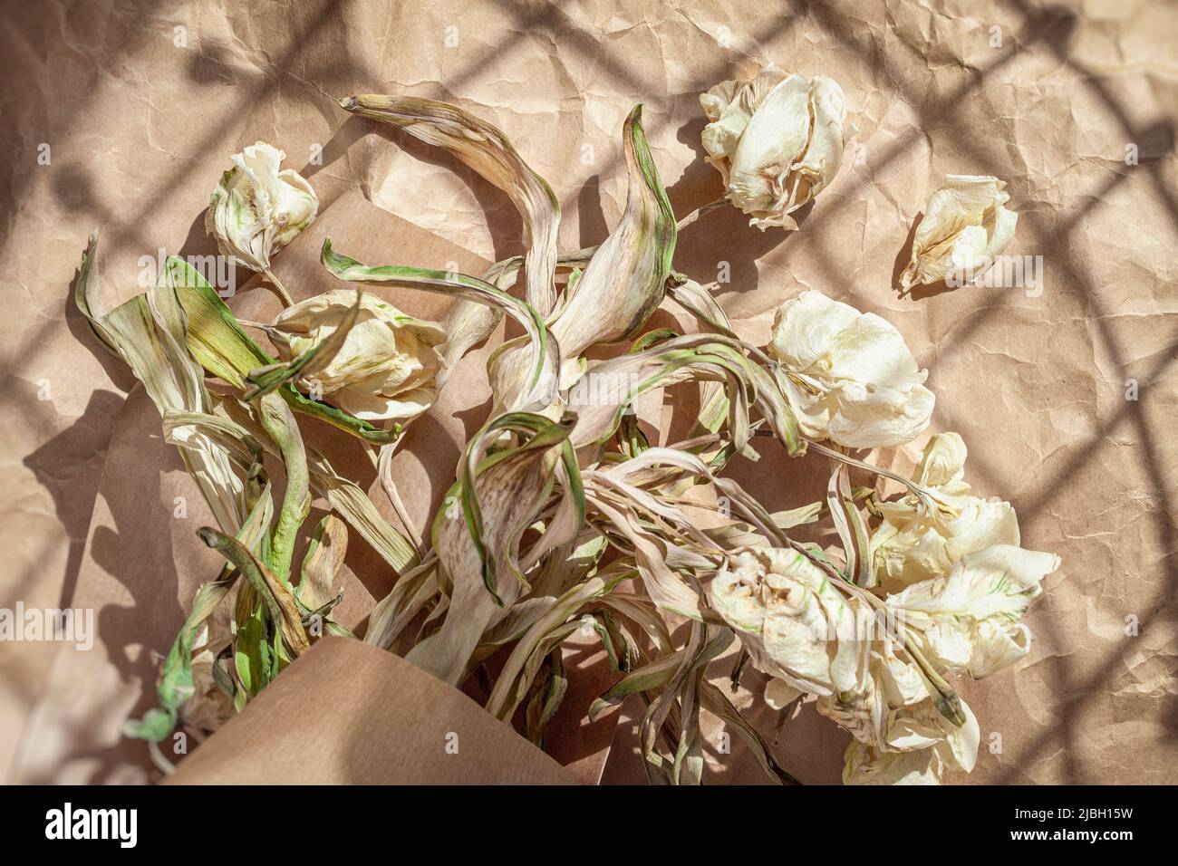 Light and shade. Fading bouquet of dried flowers on kraft paper close-up. Vintage style, concept of romantic sadness and nostalgia Stock Photo