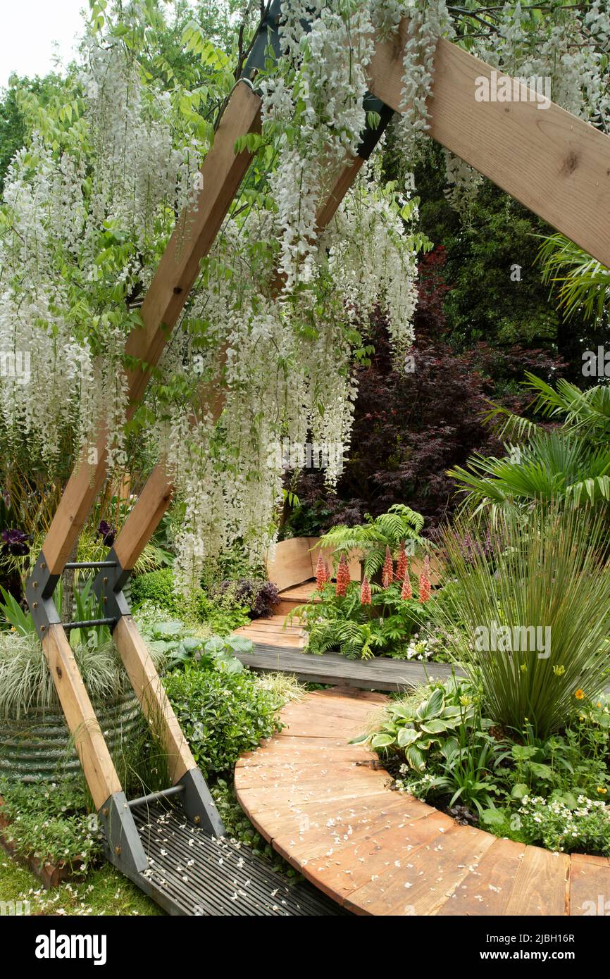 Wisteria floribunda growing over modern wooden arches and a curved wood path leading to a daybed surrounded by lush planting in the Kingston Maurward Stock Photo