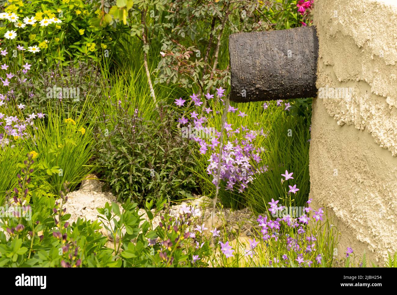 A ceramic water spout protruding from a clay rendered wall surrounded by swathes of meadow planting in The Mind Garden designed by Andy Sturgeon. Stock Photo