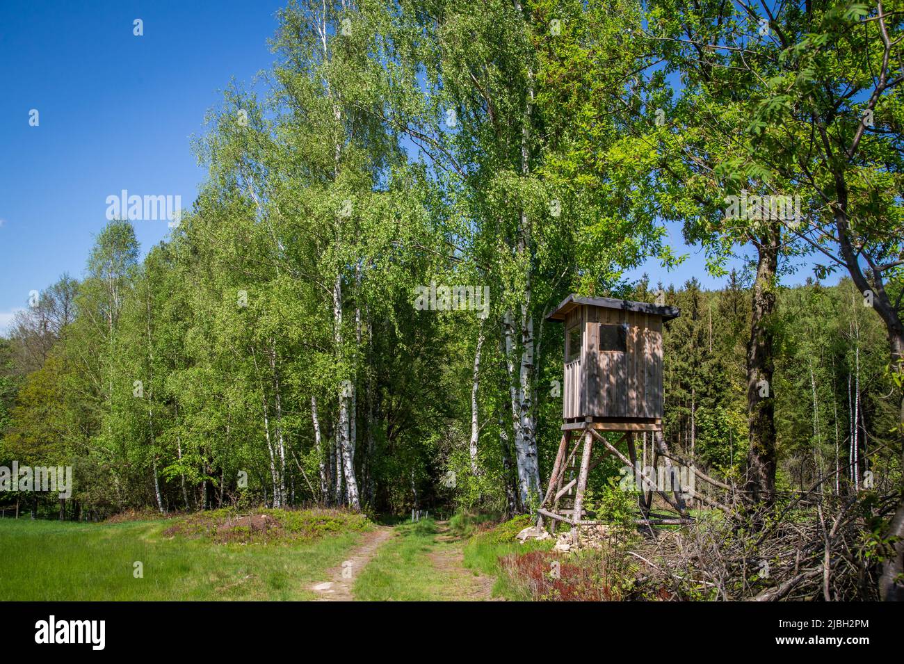 Erlebnisweg Heinrichs, a hiking path in the Waldviertel deer stand