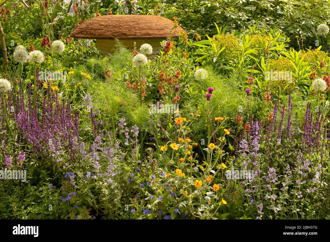 Plants surrounding a mushroom shaped bee house in the BBC Studios Our Green Planet & RHS Bee Garden.  Plants include Salvia nemeros ‘Caradonna’, Geum Stock Photo