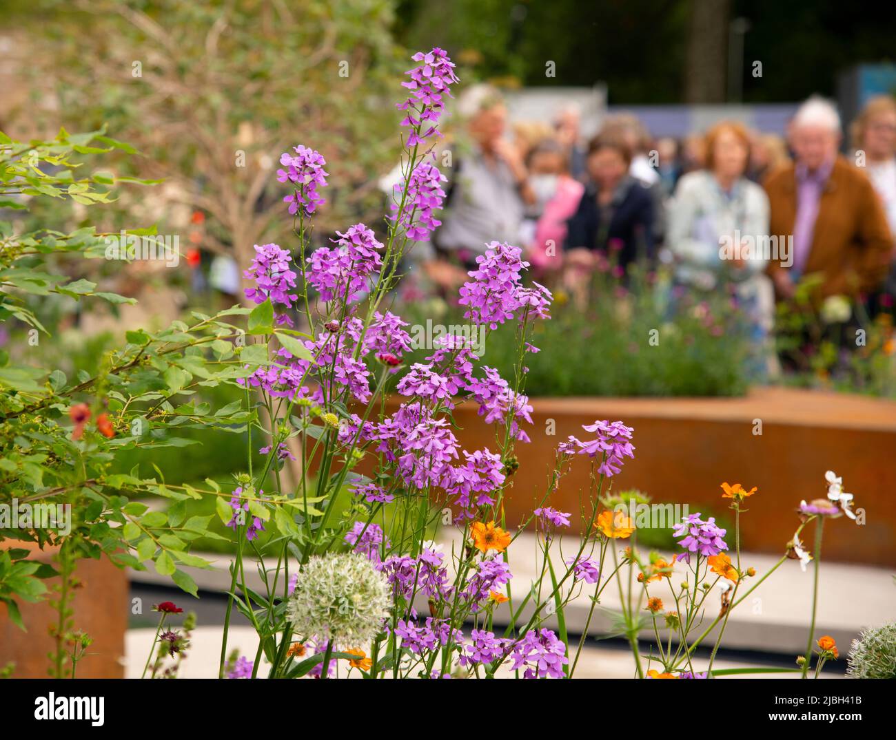 Visitors to the Chelsea Flower Show around plants and trees in the RHS Garden. Stock Photo