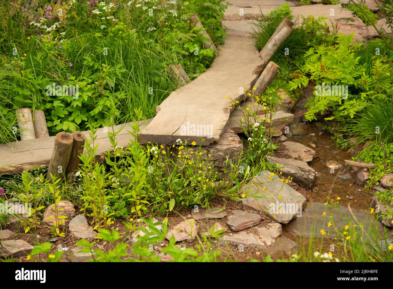 A wooden walkway next to a stream surrounded by wild flowers in A Rewilding Britain Landscape designed by Lulu Urquhart and Adam Hunt, Stock Photo