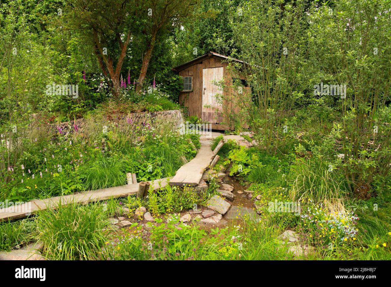 A  hide and walkway beside a brook and wetland meadow surrounded by trees in A Rewilding Britain Landscape winner of the Best Show Garden. Stock Photo