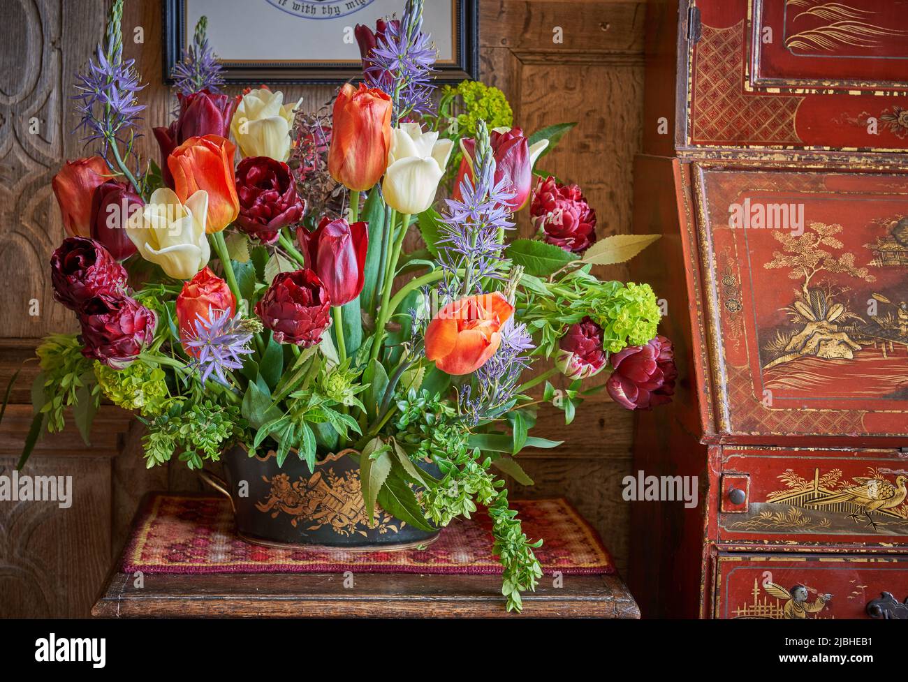 Tulips in an old classical house Stock Photo