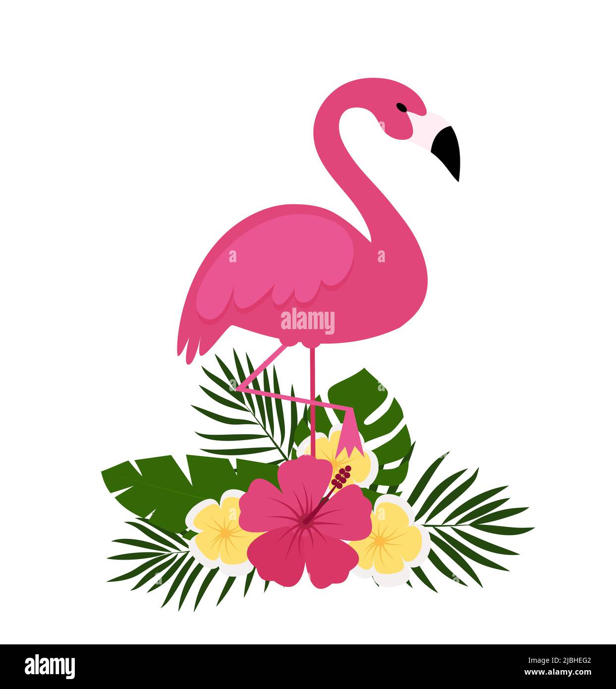 Summer postcard background with tropical plants and flowers, flamingos ...