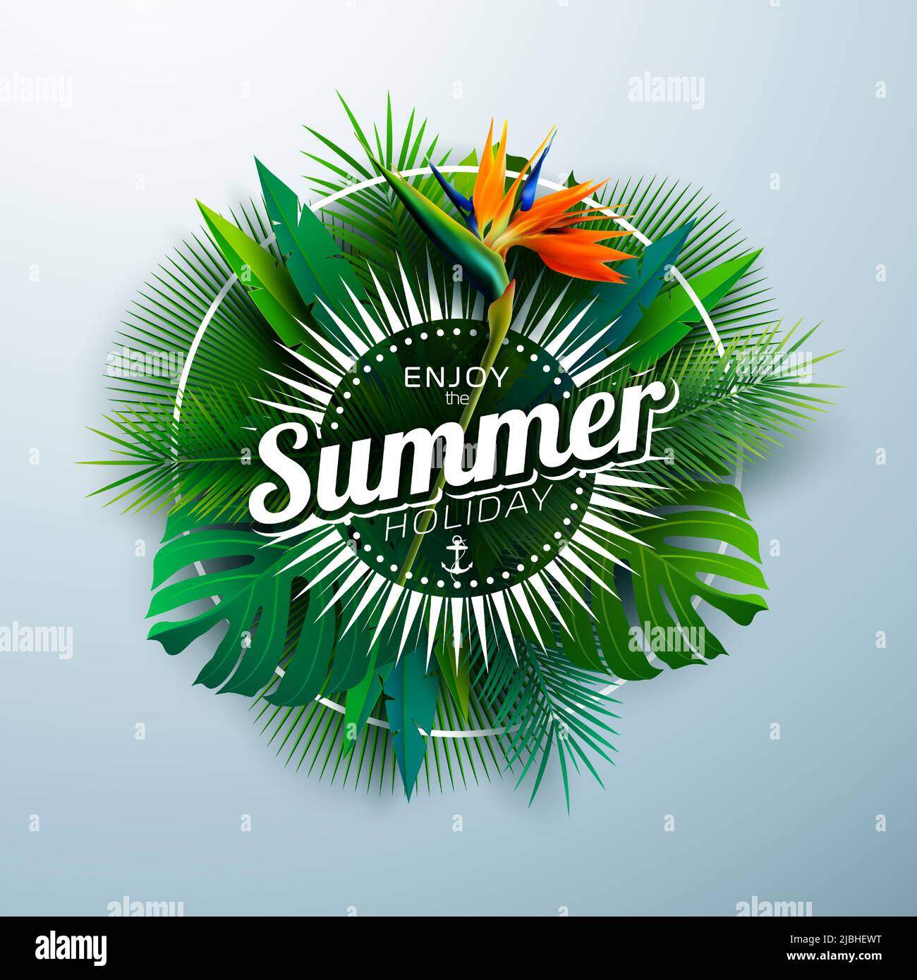 Tropical Summer Holiday Design with Toucan Bird and Parrot Flower on ...