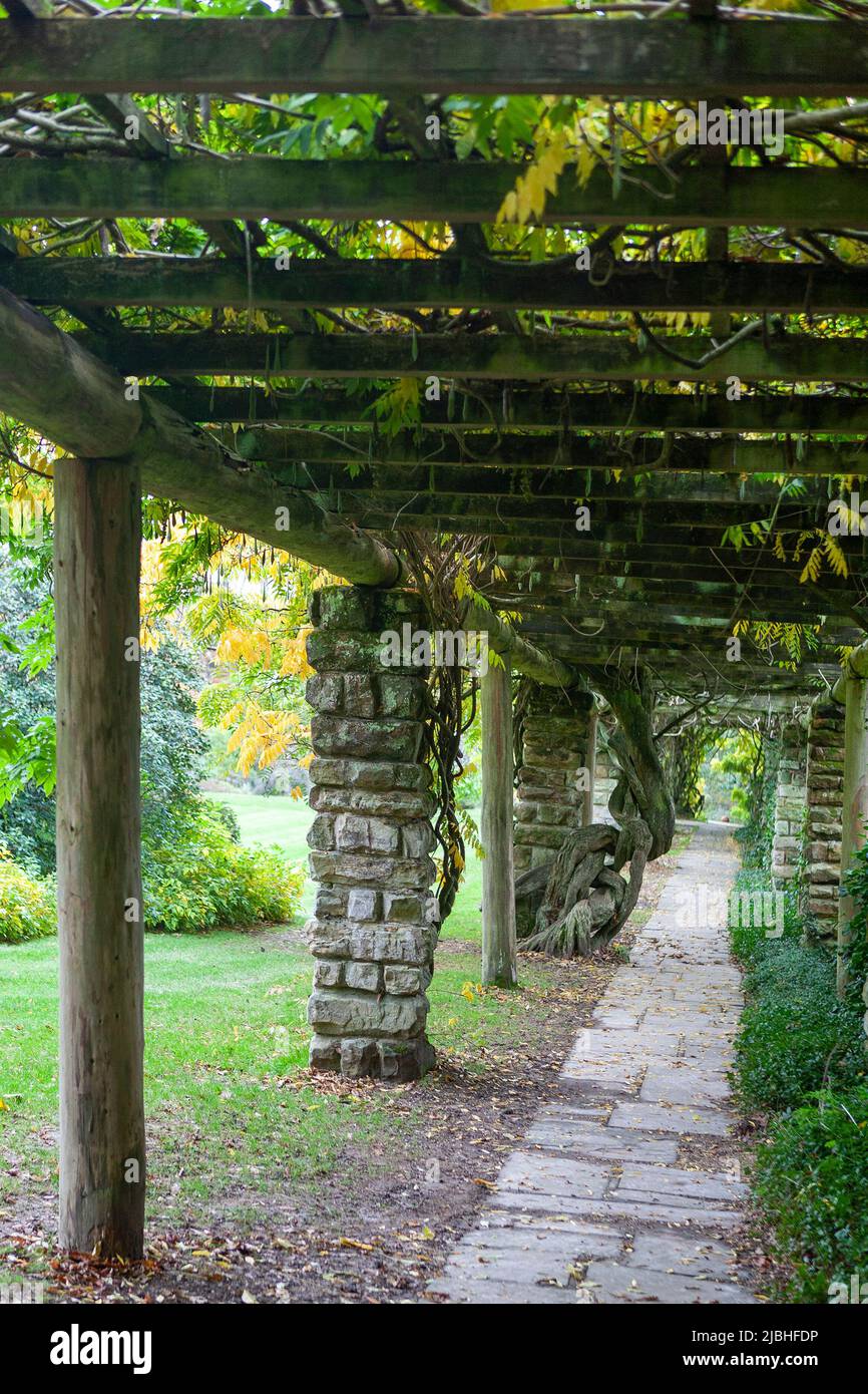 Stone and timber pergola, Nymans Garden, West Sussex, UK Stock Photo