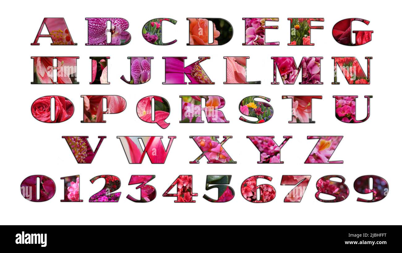 Flowerscript generated from photos from flowers. The letters A to Z and the digits 0 to 9. Stock Photo