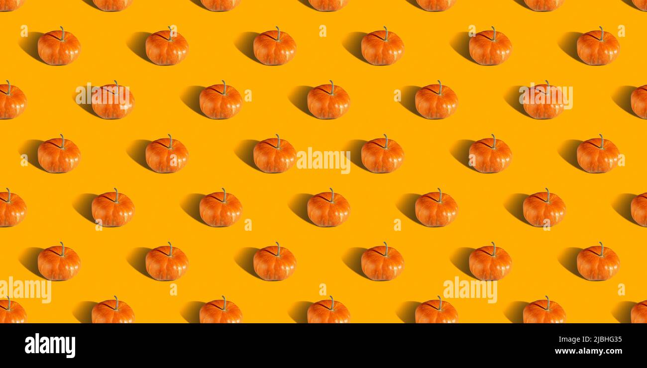 Pumpkin pattern, decorative pumpkins on orange background top view. Autumn, fall, halloween concept. Trend shadow. Stock Photo