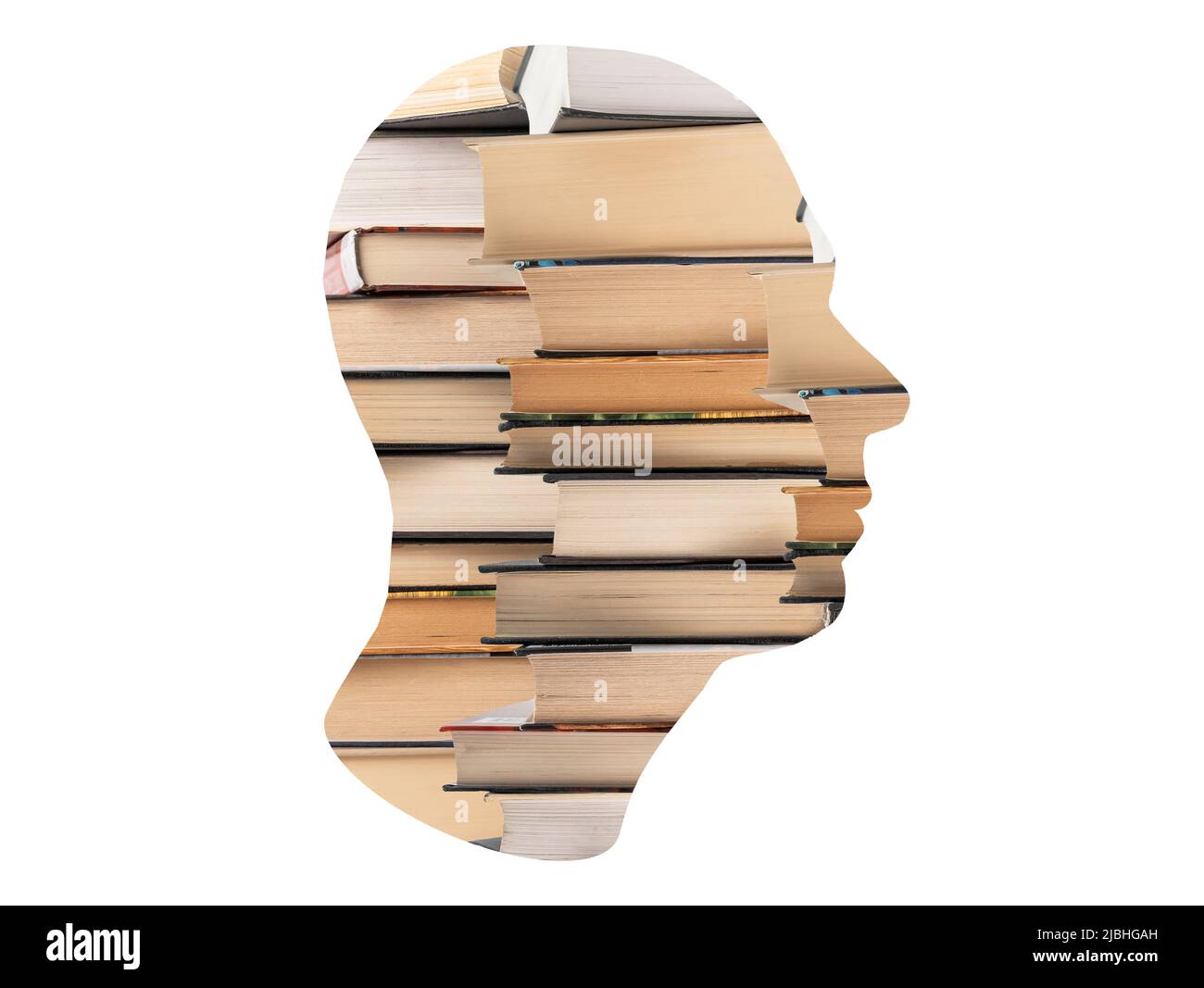 Bookworm, avid reader. Man head with books isolated on white background. Smart person devoted to reading, education, study. High quality photo Stock Photo