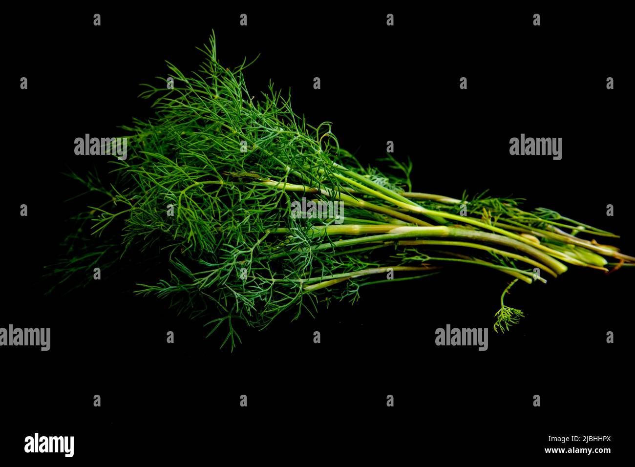 Fresh green dill isolated on black Stock Photo