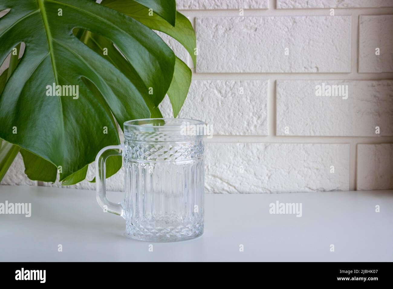 Leaves of Monstera, in front of a white brick wall next to a glass mug. Stock Photo